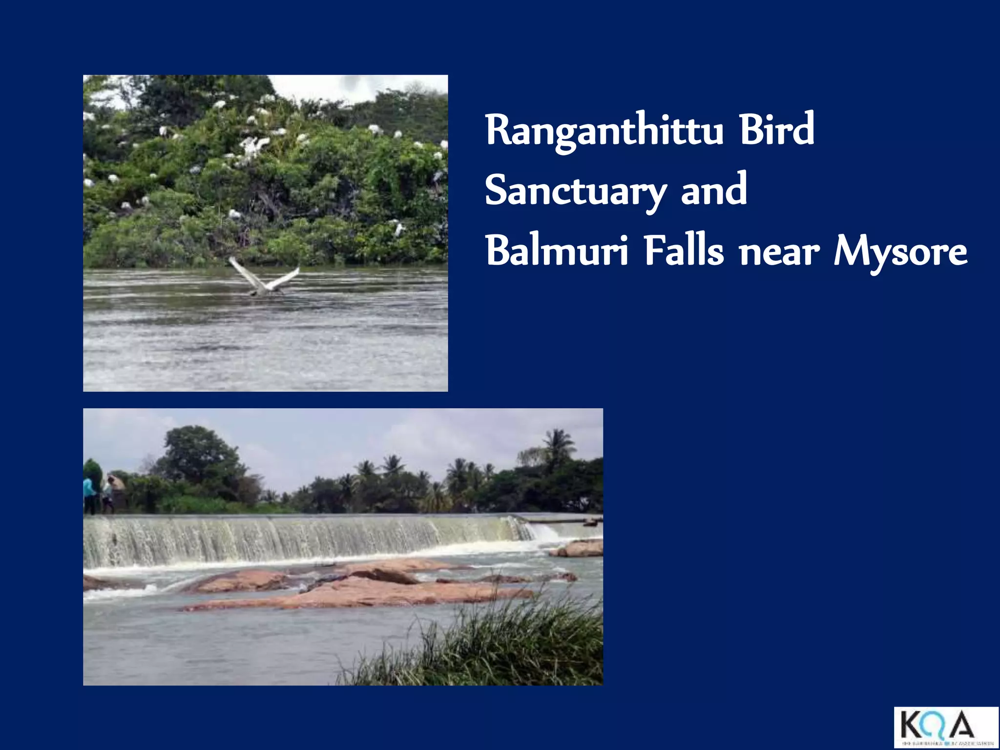 Ranganthittu Bird
Sanctuary and
Balmuri Falls near Mysore
 