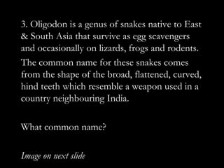 3. Oligodon is a genus of snakes native to East
& South Asia that survive as egg scavengers
and occasionally on lizards, frogs and rodents.
The common name for these snakes comes
from the shape of the broad, flattened, curved,
hind teeth which resemble a weapon used in a
country neighbouring India.

What common name?

Image on next slide
 