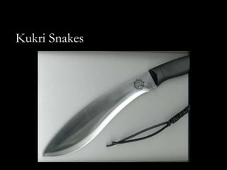 Kukri Snakes
 