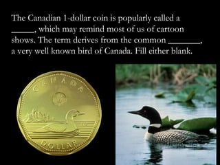 The Canadian 1-dollar coin is popularly called a
_____, which may remind most of us of cartoon
shows. The term derives from the common _______,
a very well known bird of Canada. Fill either blank.
 