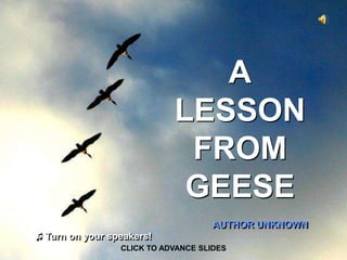 A
                          LESSON
                           FROM
                           GEESE
                                   AUTHOR UNKNOWN
Turn on your speakers!
               CLICK TO ADVANCE SLIDES
 