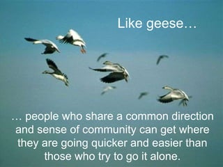 …  people who share a common direction and sense of community can get where they are going quicker and easier than those who try to go it alone. Like geese…   