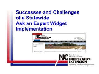 Successes and Challenges  of a Statewide  Ask an Expert Widget Implementation 