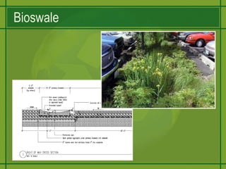Higher density infill deflects growth from greenfield areas.