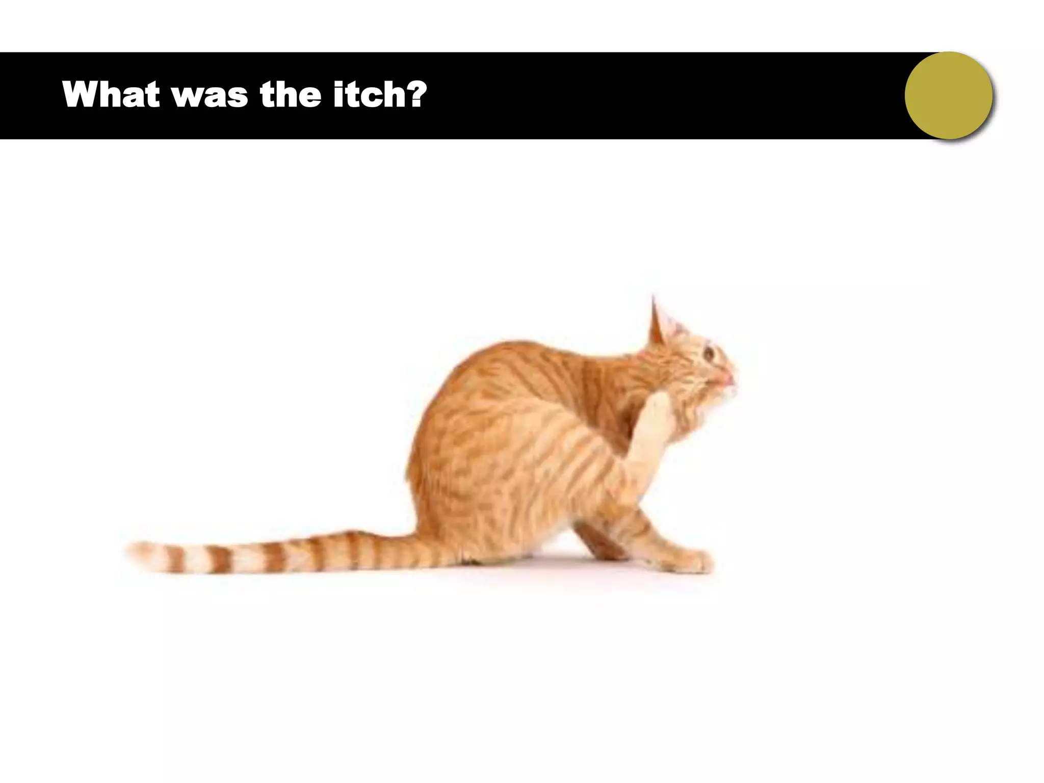What was the itch?
 