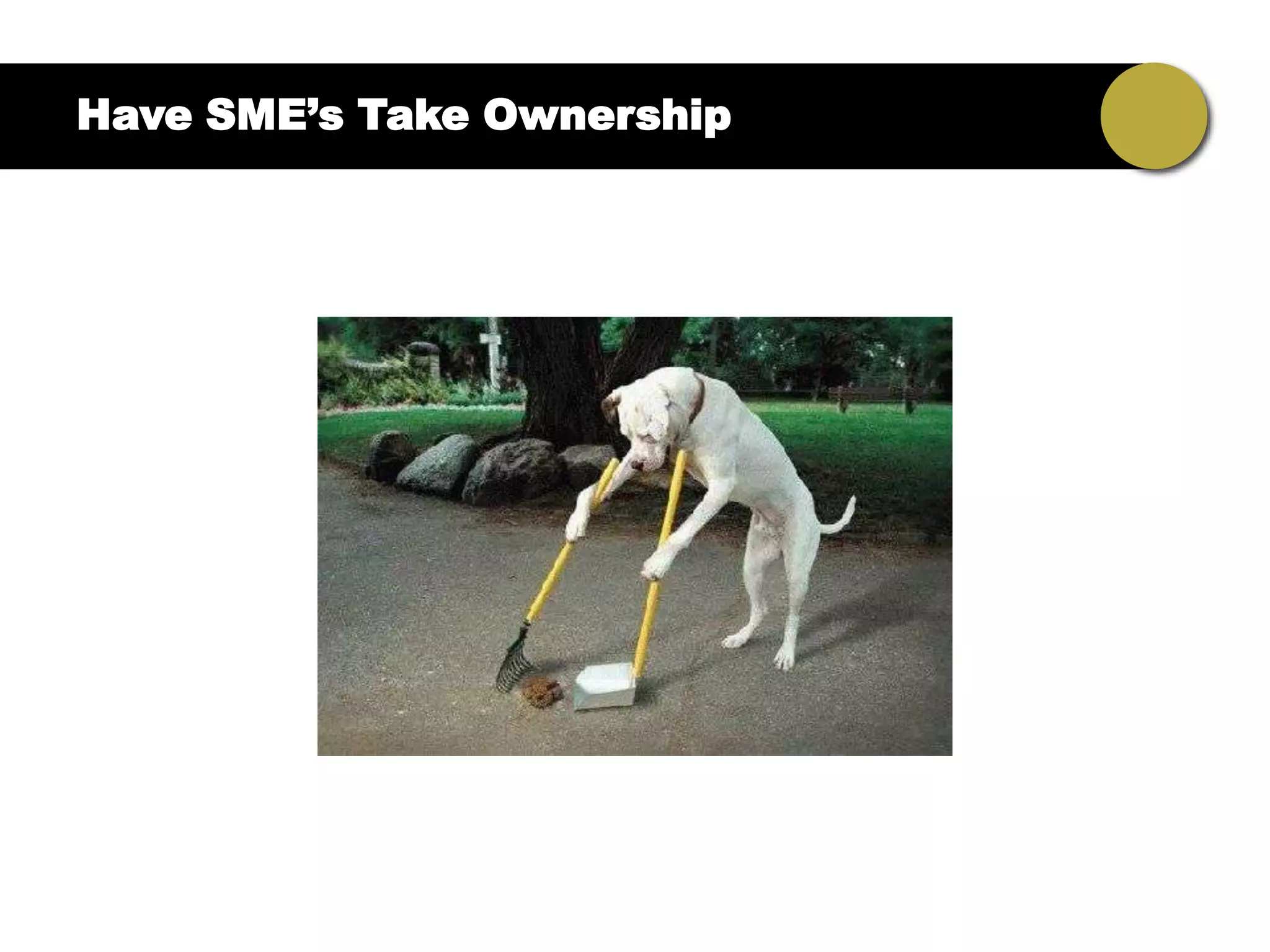 Have SME’s Take Ownership
 