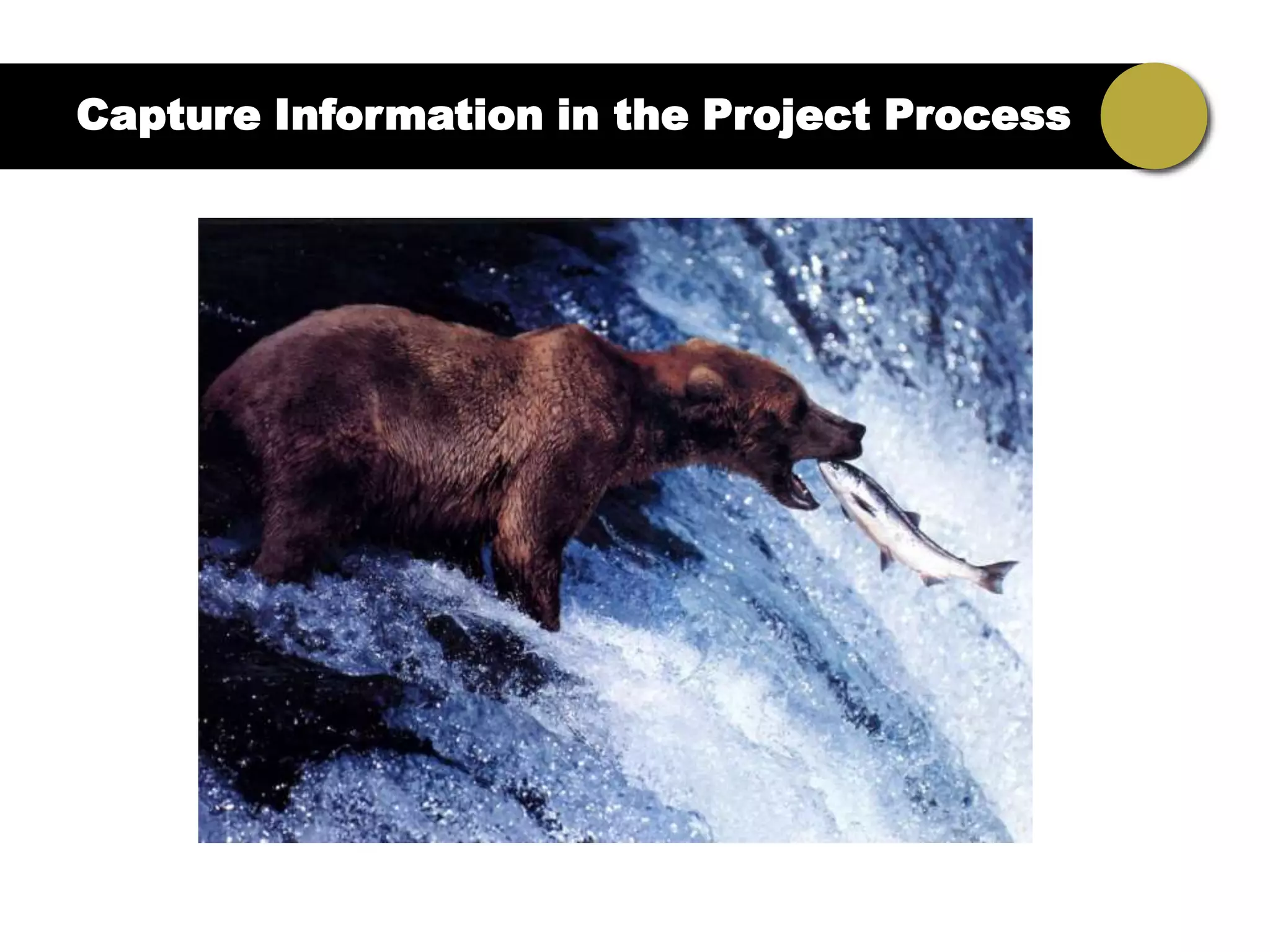 Capture Information in the Project Process
 