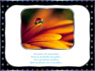 Ela parou de mansinho,
Bem na pontinha do galho...
Foi o primeiro carinho,
Que na planta, fez o orvalho...
 