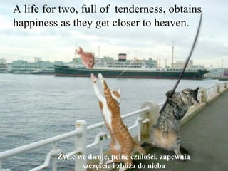 Les meilleures photos de L'année 2005 D'après NBC A life for two, full of  tenderness, obtains happiness as they get closer to heaven. Życie we dwoje, pełne czułości, zapewnia szczęście i zbliża do nieba 