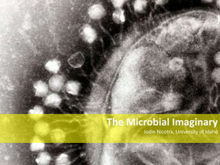 The Microbial Imaginary
Jodie Nicotra, University of Idaho
 