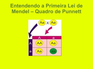 Entendendo a Primeira Lei de
Mendel – Quadro de Punnett
 