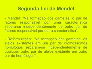 Segunda Lei de Mendel
- Mendel: “Na formação dos gametas, o par de
fatores responsável por uma característica
separa-se independentemente de outro par de
fatores responsável por outra característica”.
- Reformulação: “Na formação dos gametas, os
alelos existentes em um par de cromossomos
homólogos separam-se independentemente de
qualquer outro par de alelos existente em outro
par de homólogos”.
 