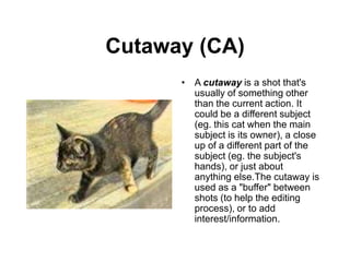 Cutaway (CA)
• A cutaway is a shot that's
usually of something other
than the current action. It
could be a different subject
(eg. this cat when the main
subject is its owner), a close
up of a different part of the
subject (eg. the subject's
hands), or just about
anything else.The cutaway is
used as a "buffer" between
shots (to help the editing
process), or to add
interest/information.
 
