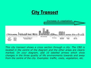 City Transect This city transect shows a cross section through a city. The CBD is located in the centre of the diagram and the other areas are clearly marked. On your diagram, add 10 labelled arrows which show changes in the three quality of life environments towards and away from the centre of the city. Examples: traffic, costs, vegetation, etc. Increase in vegetation 