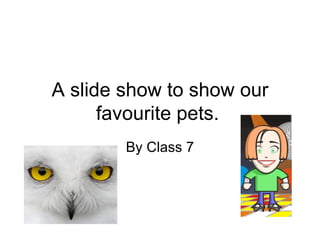 A slide show to show our favourite pets. By Class 7 