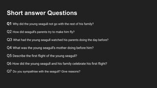 Short answer Questions
Q1 Why did the young seagull not go with the rest of his family?
Q2 How did seagull’s parents try to make him ﬂy?
Q3 What had the young seagull watched his parents doing the day before?
Q4 What was the young seagull’s mother doing before him?
Q5 Describe the ﬁrst ﬂight of the young seagull?
Q6 How did the young seagull and his family celebrate his ﬁrst ﬂight?
Q7 Do you sympathise with the seagull? Give reasons?
 