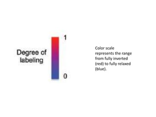 Color scale
represents the range
from fully inverted
(red) to fully relaxed
(blue).
 