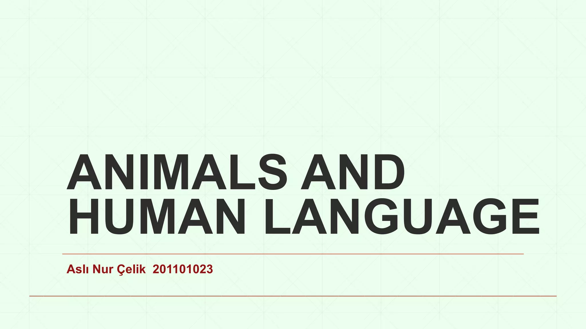 ANIMALS AND HUMAN LANGUAGE.pptx