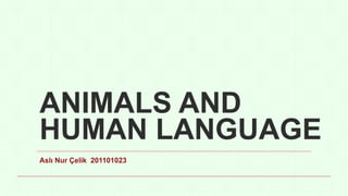 ANIMALS AND
HUMAN LANGUAGE
Aslı Nur Çelik 201101023
 