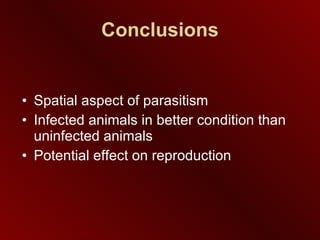 Conclusions Spatial aspect of parasitism Infected animals in better condition than uninfected animals Potential effect on reproduction 
