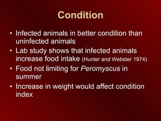 Condition Infected animals in better condition than uninfected animals Lab study shows that infected animals increase food intake  (Hunter and Webster 1974) Food not limiting for  Peromyscus  in summer Increase in weight would affect condition index 