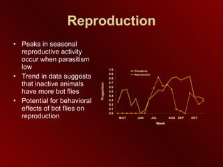 Reproduction Peaks in seasonal reproductive activity occur when parasitism low Trend in data suggests that inactive animals have more bot flies Potential for behavioral effects of bot flies on reproduction 