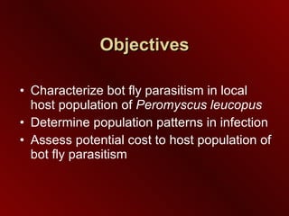 Objectives Characterize bot fly parasitism in local host population of  Peromyscus leucopus Determine population patterns in infection Assess potential cost to host population of bot fly parasitism 