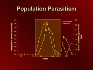 Population Parasitism 