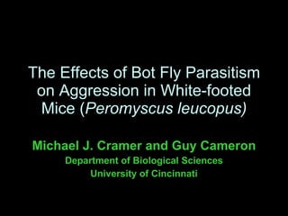 The Effects of Bot Fly Parasitism on Aggression in White-footed Mice ( Peromyscus leucopus) Michael J. Cramer and Guy Cameron Department of Biological Sciences University of Cincinnati 