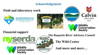 Acknowledgement
Field and laboratory work
Financial support
The Wild Center
The Raquette River Advisory Council
And more and more…
 