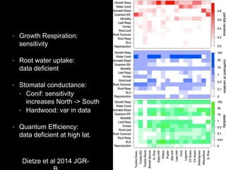 • Growth Respiration:
sensitivity
• Root water uptake:
data deficient
• Stomatal conductance:
• Conif: sensitivity
increases North -> South
• Hardwood: var in data
• Quantum Efficiency:
data deficient at high lat.
Dietze et al 2014 JGR-