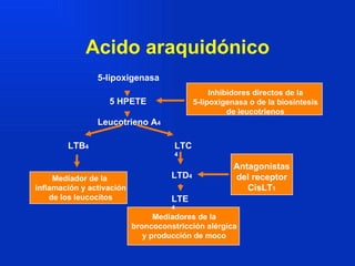 Acido araquidónico Inhibidores directos de la 5-lipoxigenasa o de la biosíntesis de leucotrienos Antagonistas del receptor CisLT 1 Mediadores de la broncoconstricción alérgica y producción de moco Mediador de la  inflamación y activación de los leucocitos 5-lipoxigenasa 5 HPETE Leucotrieno A 4 LTB 4 LTC 4 LTD 4 LTE 4 
