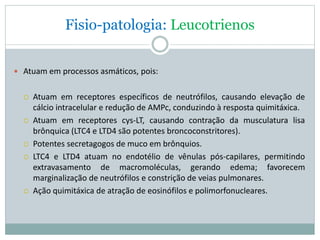 Fisio-patologia: Leucotrienos
 Atuam em processos asmáticos, pois:
 Atuam em receptores específicos de neutrófilos, causando elevação de
cálcio intracelular e redução de AMPc, conduzindo à resposta quimitáxica.
 Atuam em receptores cys-LT, causando contração da musculatura lisa
brônquica (LTC4 e LTD4 são potentes broncoconstritores).
 Potentes secretagogos de muco em brônquios.
 LTC4 e LTD4 atuam no endotélio de vênulas pós-capilares, permitindo
extravasamento de macromoléculas, gerando edema; favorecem
marginalização de neutrófilos e constrição de veias pulmonares.
 Ação quimitáxica de atração de eosinófilos e polimorfonucleares.
 