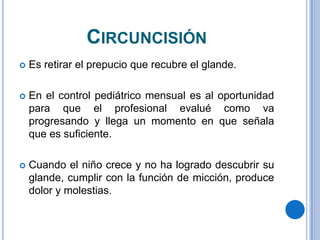 CIRCUNCISIÓN
   Es retirar el prepucio que recubre el glande.

   En el control pediátrico mensual es al oportunidad
    para que el profesional evalué como va
    progresando y llega un momento en que señala
    que es suficiente.

   Cuando el niño crece y no ha logrado descubrir su
    glande, cumplir con la función de micción, produce
    dolor y molestias.
 