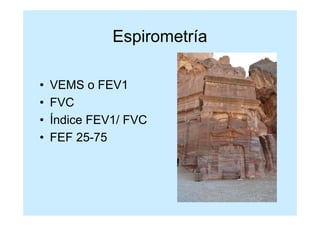 Espirometría

•   VEMS o FEV1
•   FVC
•   Índice FEV1/ FVC
•   FEF 25-75
 