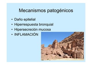 Mecanismos patogénicos
•   Daño epitelial
•   Hiperrespuesta bronquial
•   Hipersecreción mucosa
•   INFLAMACIÓN
 