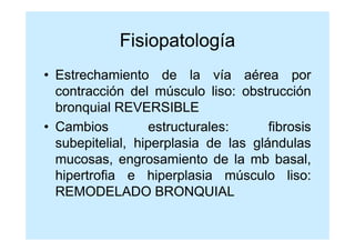 Fisiopatología
• Estrechamiento de la vía aérea por
  contracción del músculo liso: obstrucción
  bronquial REVERSIBLE
• Cambios         estructurales:      fibrosis
  subepitelial, hiperplasia de las glándulas
  mucosas, engrosamiento de la mb basal,
  hipertrofia e hiperplasia músculo liso:
  REMODELADO BRONQUIAL
 