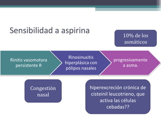 Sensibilidad a aspirina              10% de los
                                     asmáticos




     Congestión       hiperexcreción crónica de
       nasal          cisteinil leucotrieno, que
                           activa las células
                              cebadas??
 