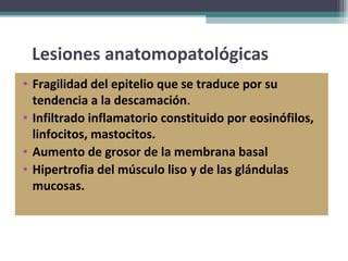 Lesiones anatomopatológicas
• Fragilidad del epitelio que se traduce por su
  tendencia a la descamación.
• Infiltrado inflamatorio constituido por eosinófilos,
  linfocitos, mastocitos.
• Aumento de grosor de la membrana basal
• Hipertrofia del músculo liso y de las glándulas
  mucosas.
 