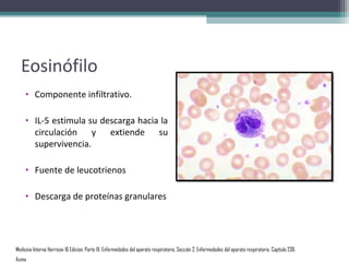 Eosinófilo
    • Componente infiltrativo.

    • IL-5 estimula su descarga hacia la
      circulación y extiende su
      supervivencia.

    • Fuente de leucotrienos

    • Descarga de proteínas granulares




Medicina Interna Harrison 16 Edicion, Parte IX. Enfermedades del aparato respiratorio, Sección 2. Enfermedades del aparato respiratorio, Capítulo 236.
Asma
 