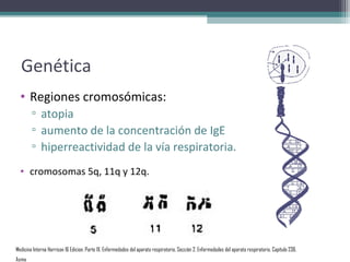 Genética
  • Regiones cromosómicas:
        ▫ atopia
        ▫ aumento de la concentración de IgE
        ▫ hiperreactividad de la vía respiratoria.
  • cromosomas 5q, 11q y 12q.




Medicina Interna Harrison 16 Edicion, Parte IX. Enfermedades del aparato respiratorio, Sección 2. Enfermedades del aparato respiratorio, Capítulo 236.
Asma
 