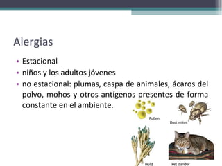 Alergias
• Estacional
• niños y los adultos jóvenes
• no estacional: plumas, caspa de animales, ácaros del
  polvo, mohos y otros antígenos presentes de forma
  constante en el ambiente.
 