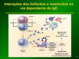 1212
Interações dos linfócitos e mastócitos naInterações dos linfócitos e mastócitos na
via dependente de IgEvia dependente de IgE
 