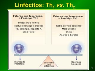 1313
Linfócitos: ThLinfócitos: Th11 vsvs. Th. Th22
 