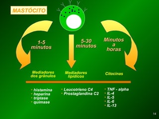 1414
MASTÓCITO
5-305-30
minutosminutos
MinutosMinutos
aa
horashoras
Citocinas
1-51-5
minutosminutos
Mediadores
lipídicos
Mediadores
dos grânulos
• histamina
• heparina
• triptase
• quimase
• Leucotrieno C4
• Prostaglandina C2
• TNF - alpha
• IL-4
• IL-5
• IL-6
• IL-13
 