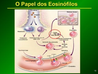 1515
O Papel dos EosinófilosO Papel dos Eosinófilos
 