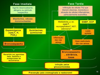 1616
Agente desencadeante;
alérgeno ou estímulo
inespecífico
Fase imediata
Mastócitos, células
mononucleadas
Espasmógenos
(cysLTcysLT, H,
PGD2)
Quimitaxinas,
quimiocinas
Broncoespasmo
Infiltração de células Th2 que
liberam citocinas, monócitos e
ativação de células inflamatórias,
particularmente eosinófilos
Fase Tardia
Mediadores, p. ex.
cysLT,
neuropeptídeos?, NO?,
adenosina?
EMBP, ECP
Lesão
epitelial
Inflamação
das vias
aéreas
Hiper-reatividade
das vias aéreas
Broncoespasmo
, sibilância,
tosse
Inibição pelos
glicocorticóides
Prevenção pelo cromoglicato e nedocromil
Revertido por agonistas
beta, teofilina e
antagonistas de
leucotrienos
 