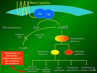 5858
ACGs
Beta-2 agonista
ATPATP cAMPcAMP
Proteína inativaProteína inativa
quinase Aquinase A
SubunidadeSubunidade
regulatóriaregulatória
Proteína ativaProteína ativa
Quinase AQuinase A
5’-AMP5’-AMP
IsoenzimasIsoenzimas
PDEPDE
InibidoresInibidores
PDEPDE
Inibição daInibição da
hidrólise do receptorhidrólise do receptor
prostanóide Iprostanóide I
CaCa+2+2
seqüestro eseqüestro e
remoçãoremoção
Hiper-Hiper-
polarizaçãopolarização
Ativação dosAtivação dos
canais de K-Cacanais de K-Ca
Fosforilação deFosforilação de
miosina e quinasemiosina e quinase
Relaxamento do
músculo liso,
inibição da liberação
dos mediadores
dos mastócitos
PDE=fosfodiesterasePDE=fosfodiesterase
 