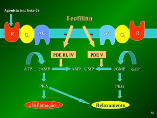6363
GGss
TeofilinaTeofilina
R ACAC RRGGss
GCGC
Agonista (ex: beta-2)Agonista (ex: beta-2)
PDE III, IVPDE III, IV PDE VPDE V
ATPATP cAMPcAMP AMPAMP
PKAPKA
Inflamação Relaxamento
GMPGMP cGMPcGMP GTPGTP
PKGPKG
-- --
 