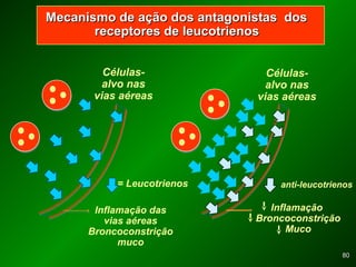 8080
Mecanismo de ação dos antagonistas dosMecanismo de ação dos antagonistas dos
receptores de leucotrienosreceptores de leucotrienos
Células-
alvo nas
vias aéreas
Inflamação das
vias aéreas
Broncoconstrição
muco
= Leucotrienos
Células-
alvo nas
vias aéreas
Inflamação
Broncoconstrição
Muco
anti-leucotrienos
 